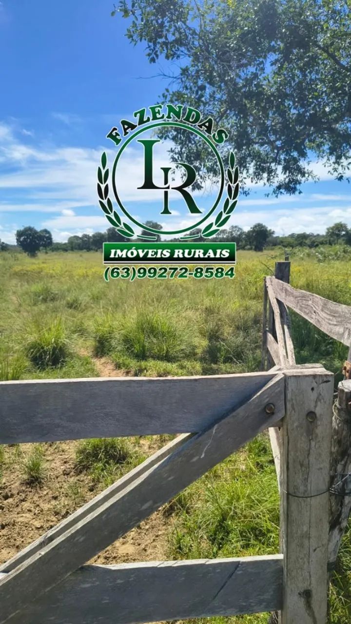 FAZENDA DUPLA APTIDÃO REGIÃO PEDRO AFONSO - Foto 4