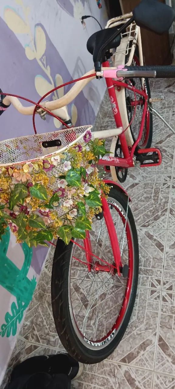 Vendo bicicleta 
