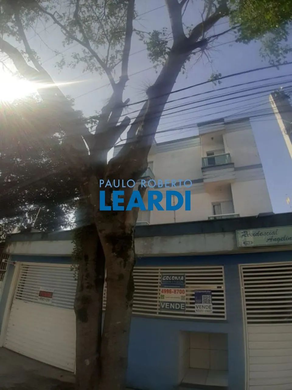 APARTAMENTO - VILA CAMILÓPOLIS - SP