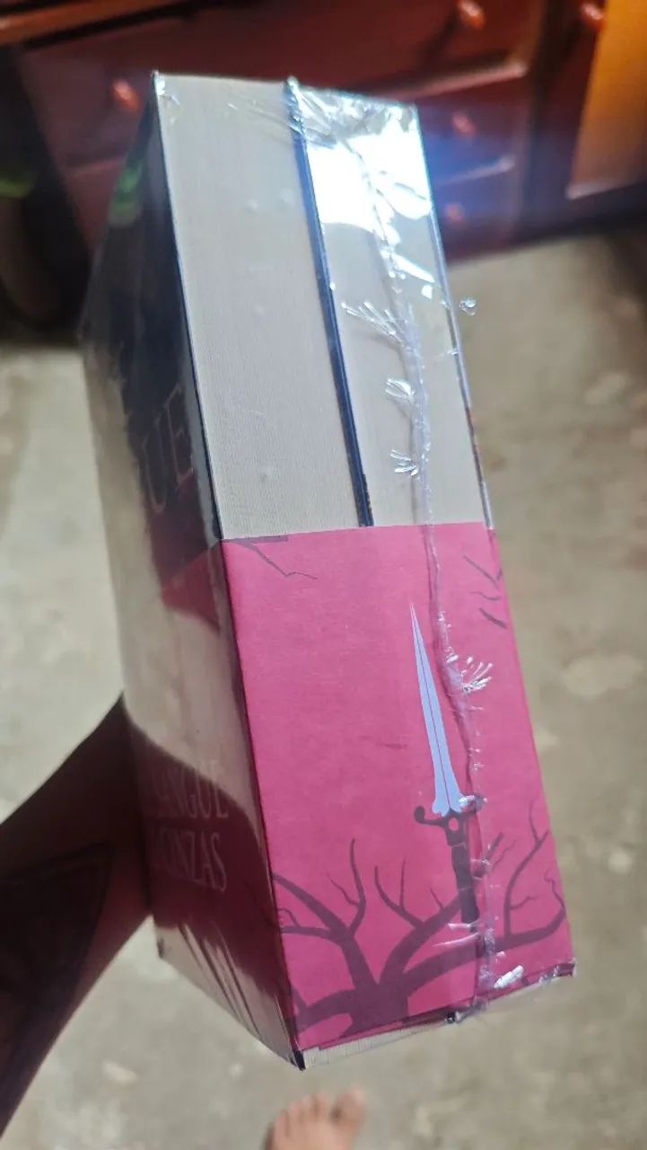 Box de sangue e cinzas  - Foto 2