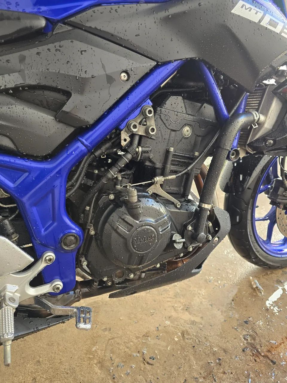 MT 03 