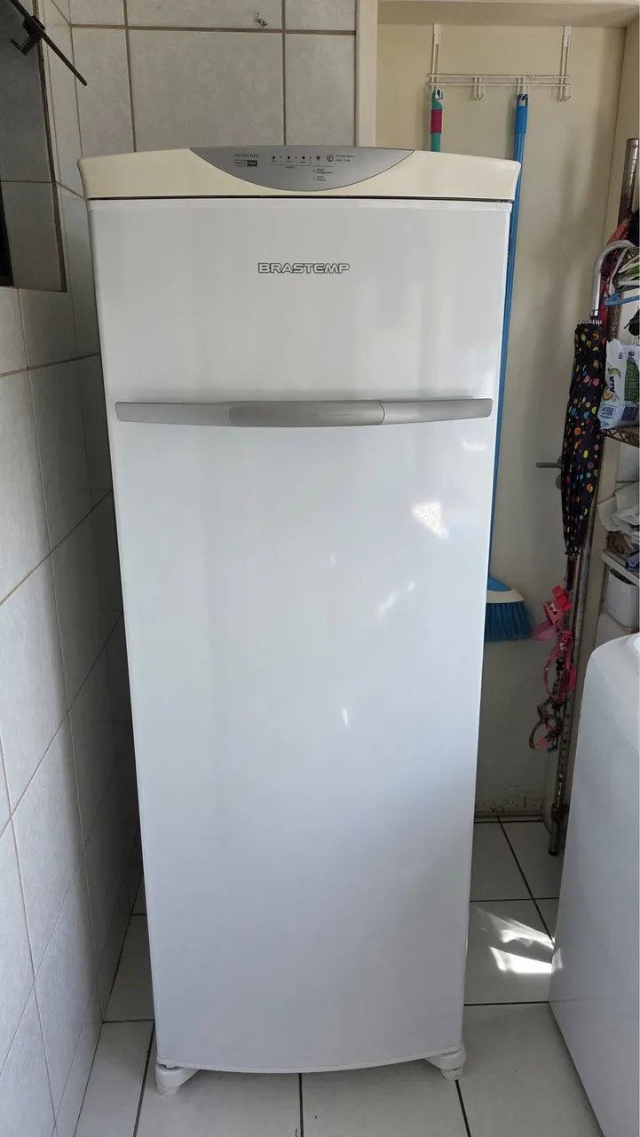Freezer vertical