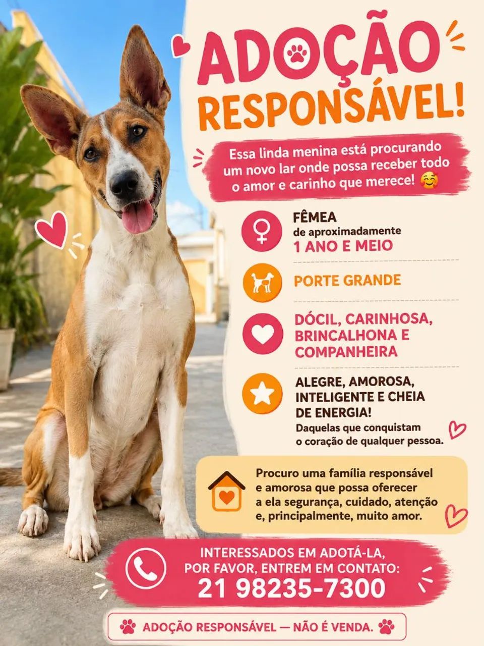 Doação responsável 