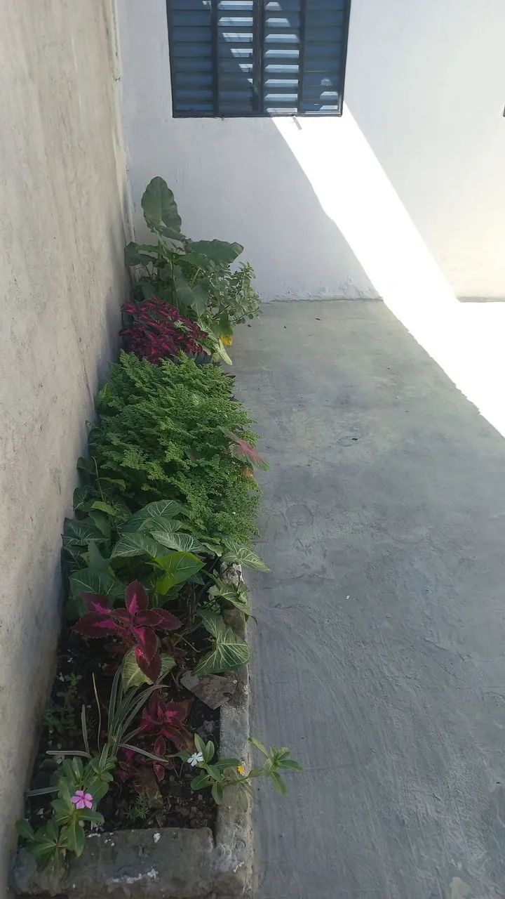 Linda Casa 