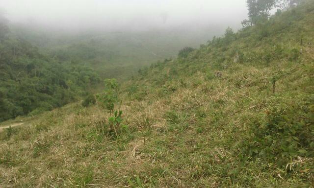 Fazenda 300 mts da BR 116 - Foto 5