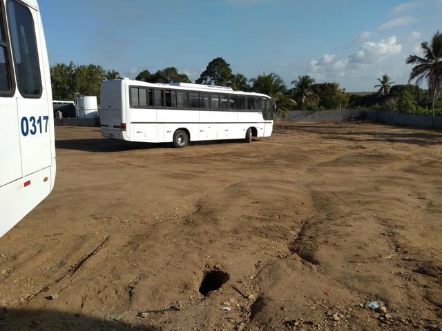 Pra verde só hoje - Foto 5