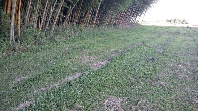 Terreno Rural para venda em Condomínio Fechado em Araucária - Foto 5