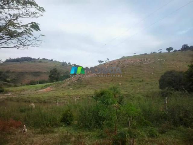 Fazenda - 59 hectares - bonfim (mg)