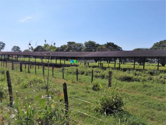 FAZENDA A VENDA - 300 hectares - REGIÃO PITANGUI (MG) - Foto 16