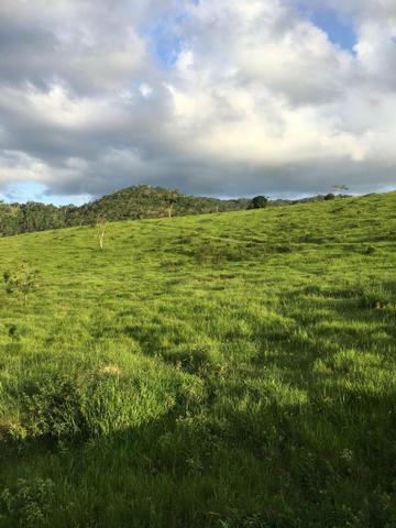 Vendo fazenda (Itamaraju BA) - Foto 15