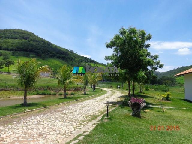 Fazenda haras – 990 hectares - sete lagoas (mg) - Foto 3