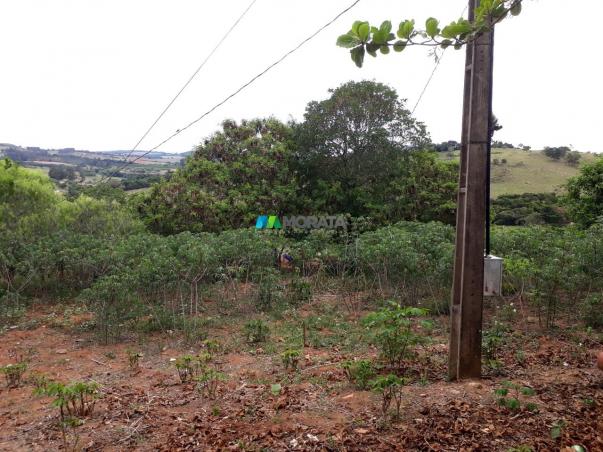 Fazenda à venda - 90 hectares - lavras (mg) - Foto 9
