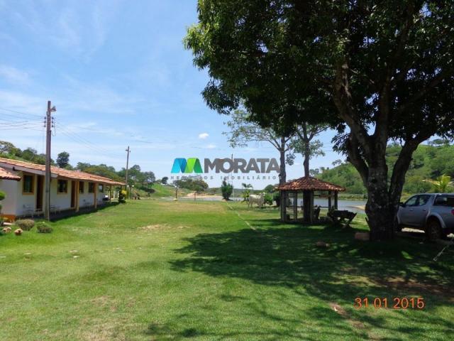 Fazenda haras – 990 hectares - sete lagoas (mg) - Foto 9