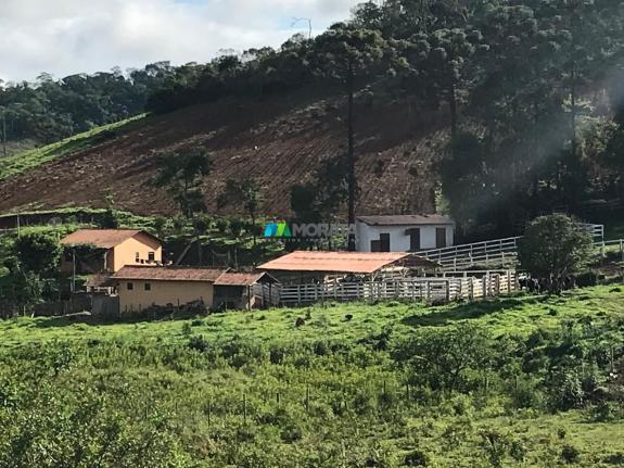 Fazenda à venda - 40 hectares - região santana dos montes (mg) - Foto 11