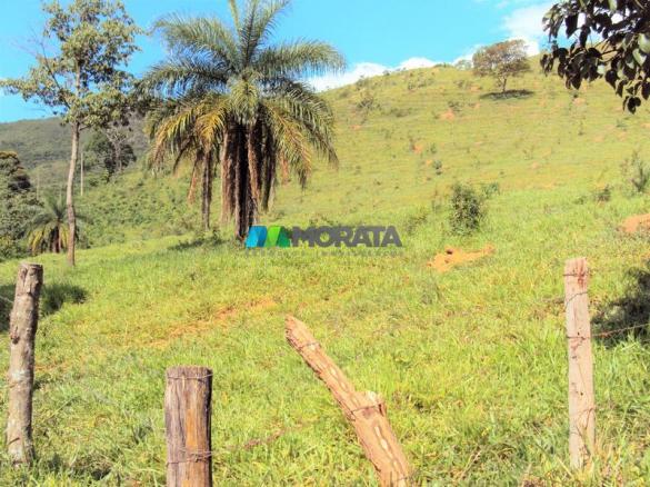 FAZENDA - 334 hectares - PARÁ DE MINAS (MG) - Foto 15