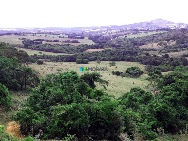 Fazenda à venda - 90 hectares - lavras (mg) - Foto 6