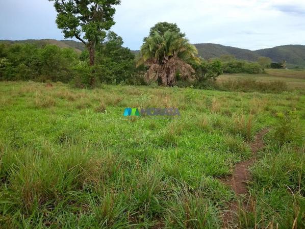 FAZENDA À VENDA - 55 HECTARES - REGIÃO DE PITANGUI (MG) - Foto 10