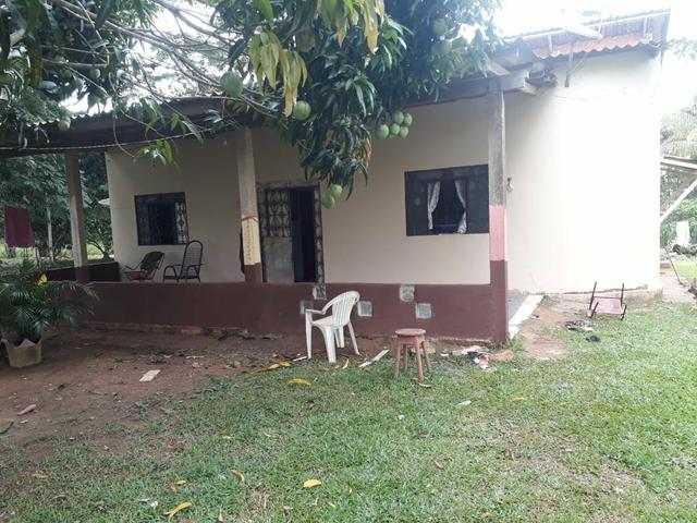 Motivo de viagem vendo chácara - Foto 15