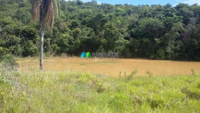 Fazenda à venda - 163 hectares - paraopeba (mg) - Foto 13