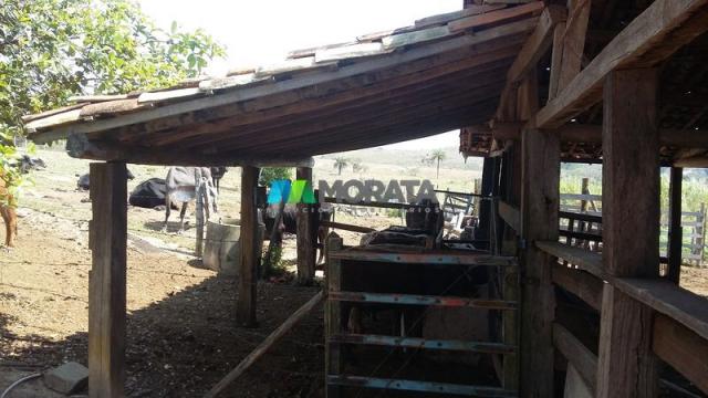 Fazenda - 80,70 hectares - congonhas do norte (mg) - Foto 6