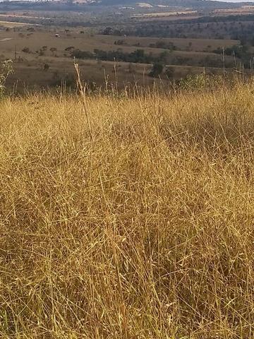 Fazenda em Silvânia - Foto 10