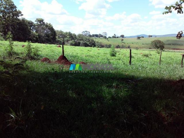 FAZENDA - 122,80 hectares - PEQUI (MG) - Foto 15