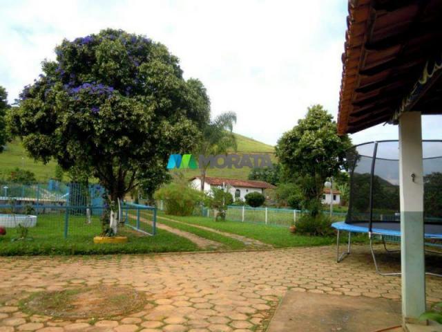 Fazenda / haras à venda - 100 hectares - rio casca (mg) - Foto 4