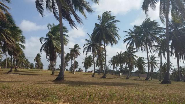 Terrenão em Salinas (Descontão com o Proprietário) - Foto 5