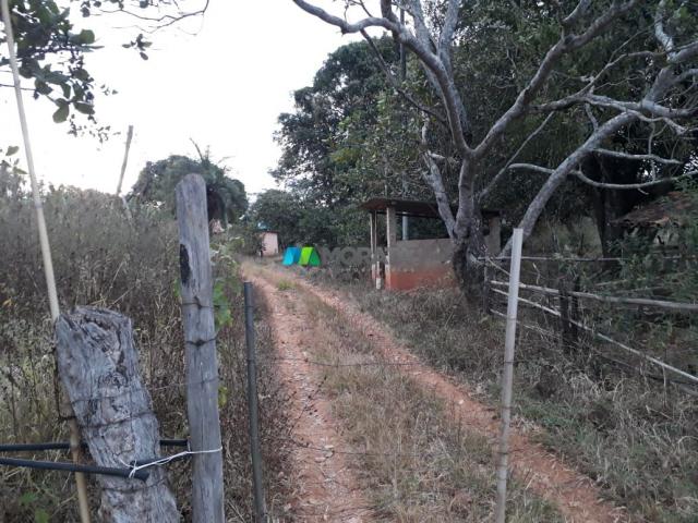 Fazendinha - 08 hectares - paraopeba (mg) - Foto 18