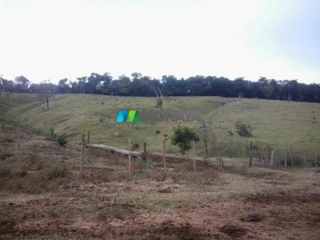 Fazenda - 59 hectares - bonfim (mg) - Foto 9