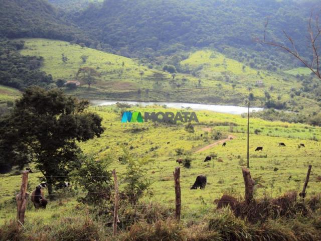 FAZENDA - 334 hectares - PARÁ DE MINAS (MG) - Foto 7