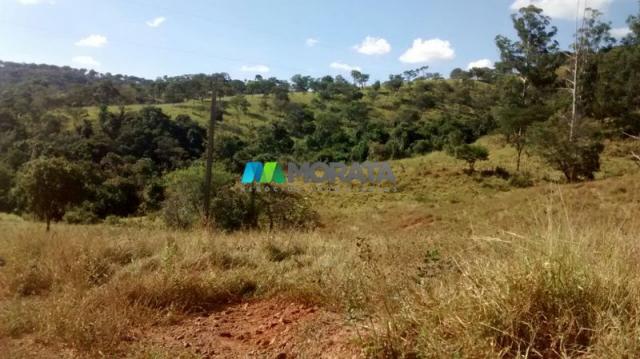FAZENDA À VENDA - 187 HECTARES - ONÇA DO PITANGUI (MG) - Foto 15