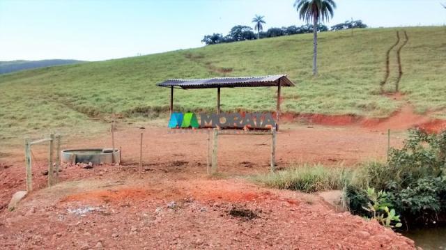 Fazenda à venda - 75 hectares - onça do pitangui (mg) - Foto 6