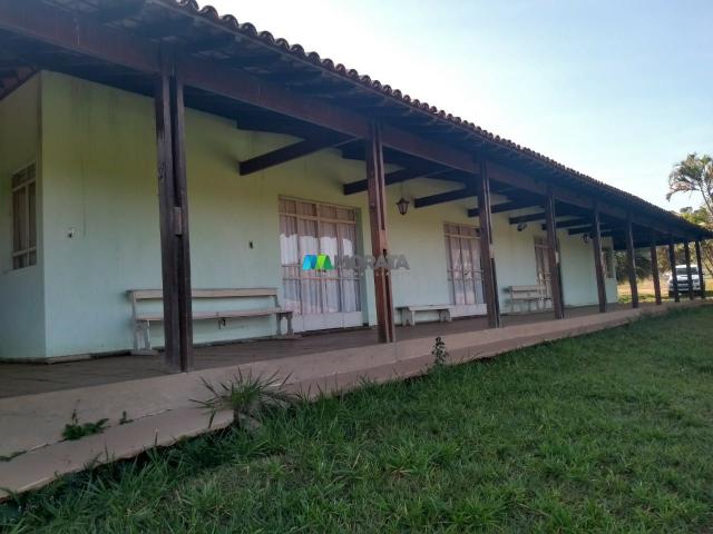 FAZENDA À VENDA - 187 HECTARES - ONÇA DO PITANGUI (MG)