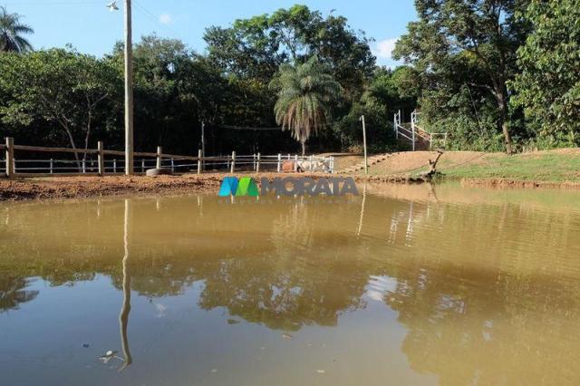 Fazenda haras - 63.000 m2 - região lagoa santa (mg) - Foto 3