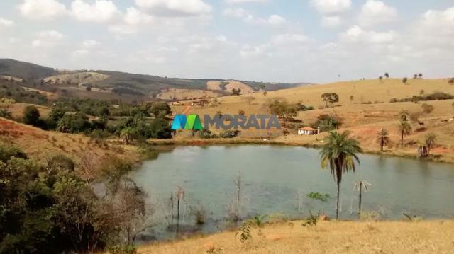 FAZENDA - 334 hectares - PARÁ DE MINAS (MG)