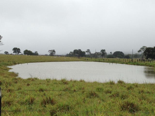 Fazenda - 1100 Hectares - Cáceres/MT - Foto 4