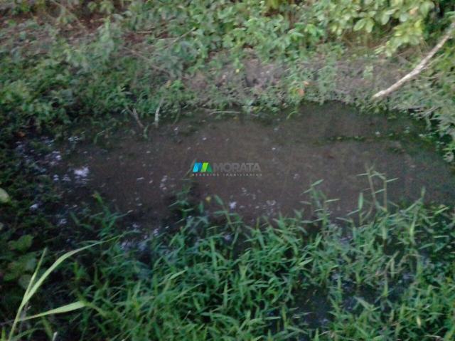 FAZENDINHA À VENDA - 2,5 HECTARES - PEQUI (MG) - Foto 12
