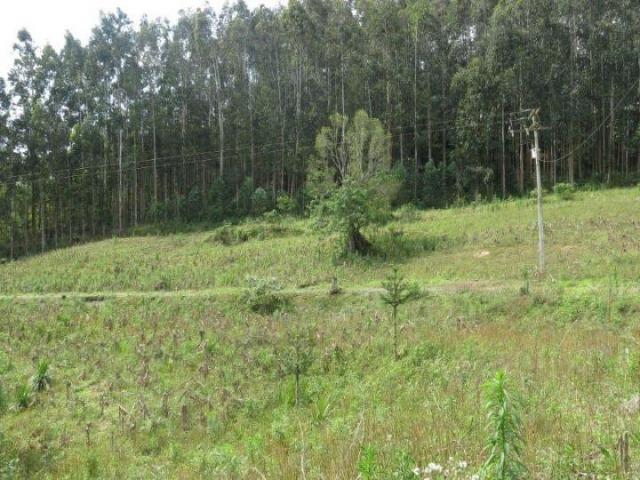 Chácara para Venda, 71.959,20 m², Piên / PR, bairro Poço Frio, 3 dormitórios - Foto 2