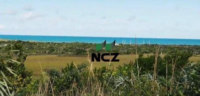 Fazenda à venda, 2100000 m² por r$ 21.000.000,00 - santo andré - santa cruz cabrália/ba - Foto 10