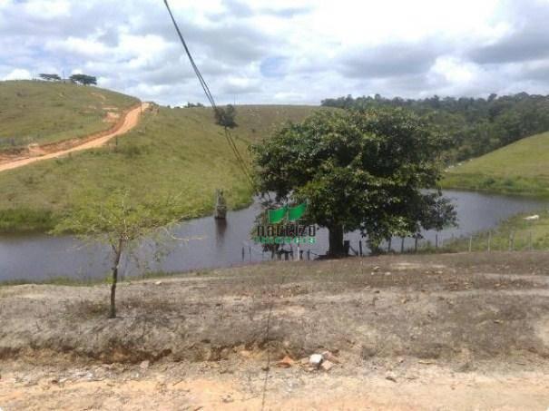 Linda fazenda à venda, 8000000 m² por r$ 6.300.000 - inocoop - itamaraju/ba - Foto 11