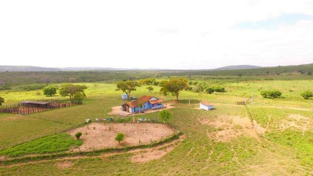 Fazenda Jaguaquara - Foto 4