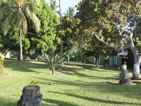 Chácara à venda, 4960 m² por r$ 800.000,00 - barra do jacuípe - camaçari/ba - Foto 9