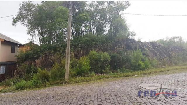 Terreno em flores da cunha