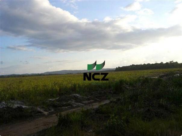 Fazenda à venda, 4080000 m² por r$ 5.000.000 - barra grande - maraú/ba - Foto 12