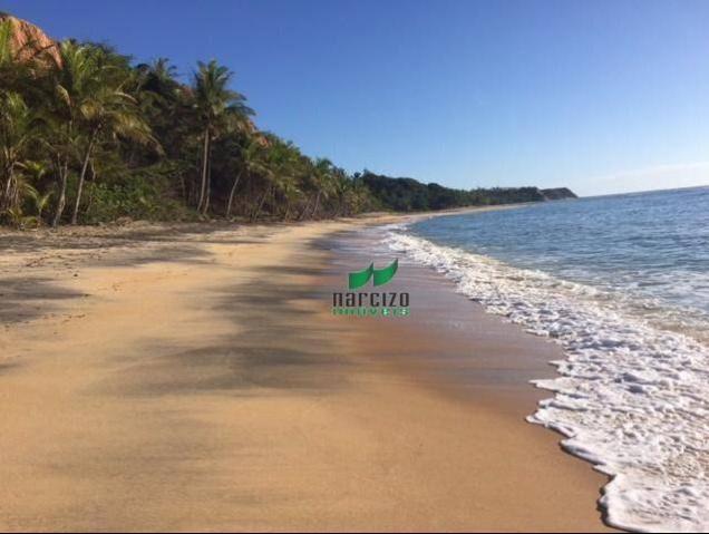 Fazenda rural à venda, caraiva, porto seguro. - Foto 16