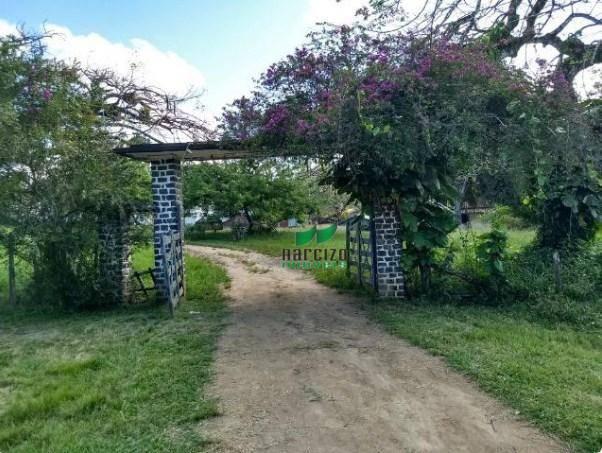 Fazenda à venda, 4190000 m² por r$ 5.600.000 - cidade nova - ilhéus/ba - Foto 2