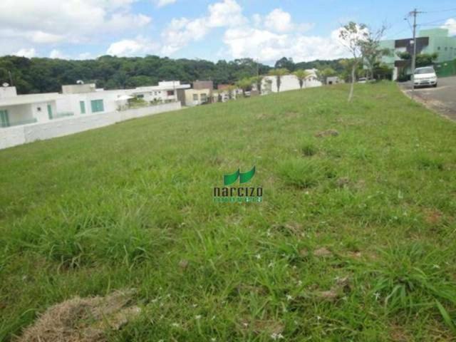 Terreno residencial à venda, abrantes, camaçari - te0111. - Foto 6