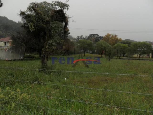 Terreno em caxias do sul