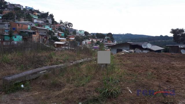 Terreno em caxias do sul - Foto 2